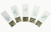 Image:Samples of lung tissue from case number 51 in Dr Petere Elmes' work